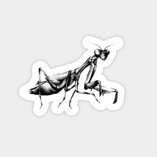 Praying mantis Sticker